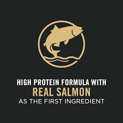 Real salmon as the first ingredient