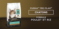 Purina Pro Plan Chatons