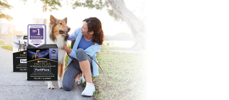 woman and dog