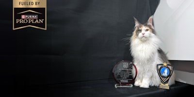 Canadian Cat Association National Winners Fueled by Pro Plan