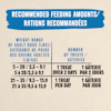 Recommended Feeding Amounts