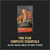 Pro Plan® Complete Essentials™ Dry Food