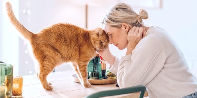 Woman sitting at table head to head with orange cat