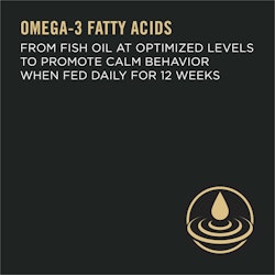 Omega-3 Fatty Acids