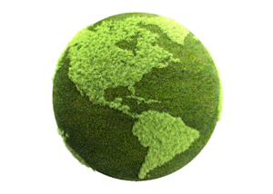 the globe made of moss