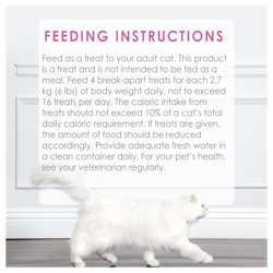 Feeding Recommendations