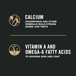 Calcium, vitamin A and omega-6 fatty acids