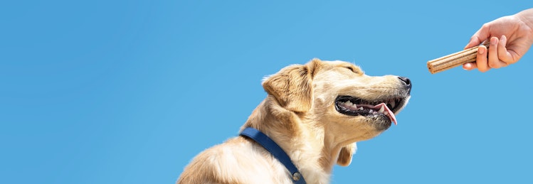 dog being handed a DentaLife chew with blue skies in the background