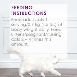 Feeding Instructions