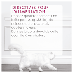 Directives Pour L'alimentation