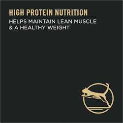 High Protein Nutrition