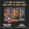 Pro Plan® Sensitive Skin & Stomach Large Breed Puppy Salmon & Rice Formula