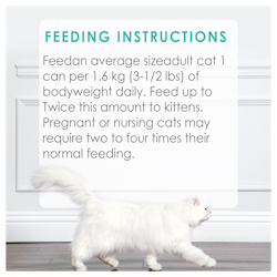 Feeding Recommendations