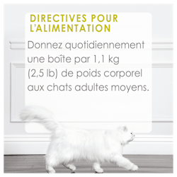 Directives Pour L'alimentation