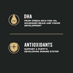 DHA and antioxidants