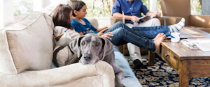 A dog laying on the couch with its family