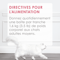 Directives Pour L'alimentation