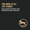 For dogs at all life stages