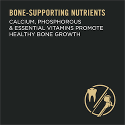 bone supporting