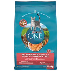 Purina ONEᴹᴰ Formule Saumon et Riz Nourriture pour Chats Adultes