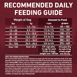 Daily Feeding Guide