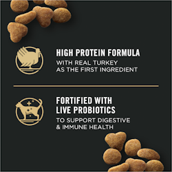 High Protein Formula