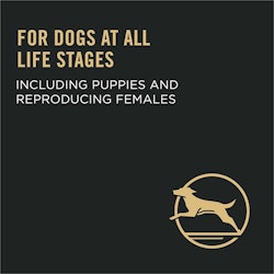 For dogs at all life stages