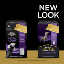 Dental Chewz™ Canine Treats - New Look