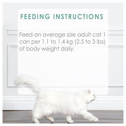 Feeding Recommendations