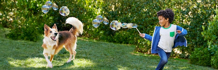 Garçon et chien jouant avec des bulles