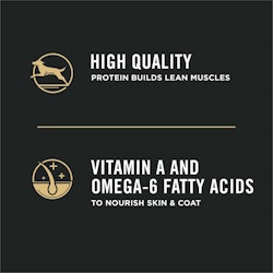 High quality protein, vitamin A and omega-6 fatty acids