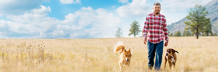 Man is walking with his two dogs