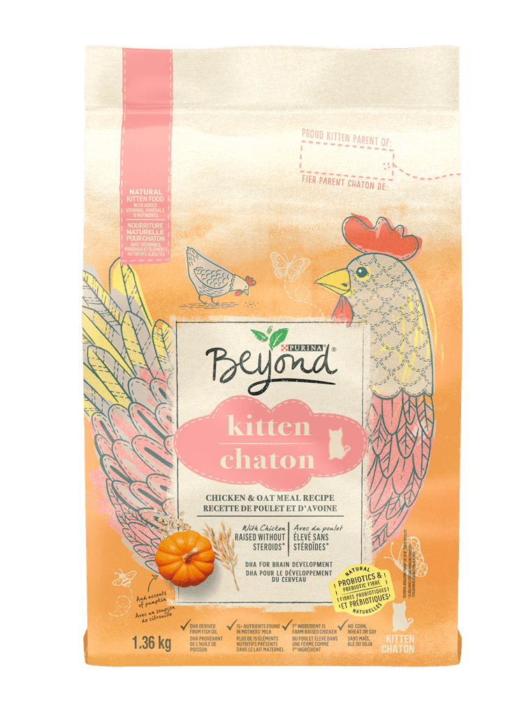 Beyondᴹᴰ Chaton Recette de Poulet d'Avoine Nourriture Sèche pour Chats