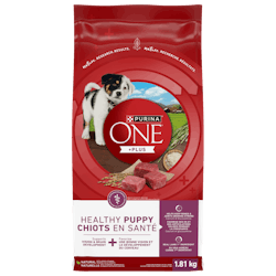 Purina ONEᴹᴰ +Plus Chiots en Santé