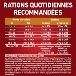 Rations Quotidiennes Recommandées