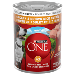 Purina ONEᴹᴰ Tendres Morceaux en Sauce Entrée de Poulet et Riz Brun Nourriture pour Chiens