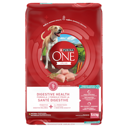 Purinaᴹᴰ ONEᴹᴰ + Plus Formule pour la Santé Digestive Nourriture Sèche pour Chiens