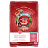 Purinaᴹᴰ ONEᴹᴰ + Plus Formule pour la Santé Digestive Nourriture Sèche pour Chiens