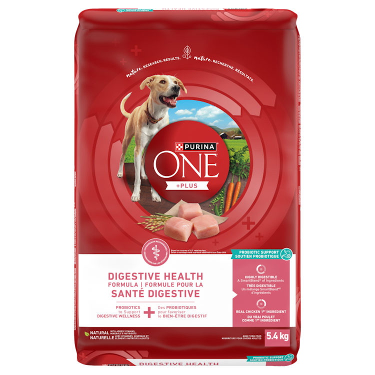 Purinaᴹᴰ ONEᴹᴰ + Plus Formule pour la Santé Digestive Nourriture Sèche pour Chiens