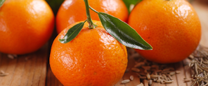 Tangerines