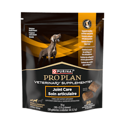 Supplément probiotique pour chiens soin articulaire