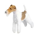 Wire Fox Terrier dog