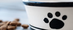 A pet food bowl