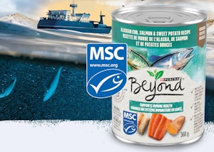 Beyond MSC certified dog food recipe over an image of a boat in water