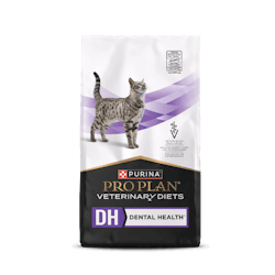 DH Dental Health® Dry Feline Formula