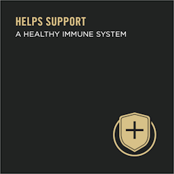 Healthy Immune System