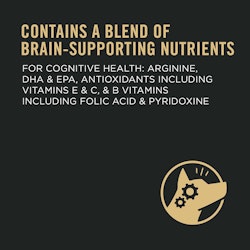 Contains a blend of brain-supporting nutrients