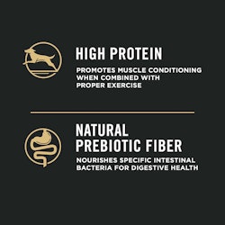 High protein, natural prebiotic fiber