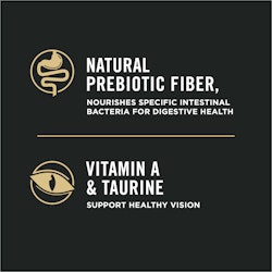 Natural Prebiotic Fibre