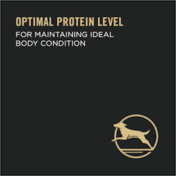 Optimal Protein Level